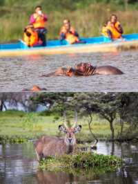 吐血整理：去非洲看動物大遷徙要避哪些坑？