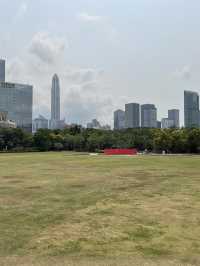 Drone Delivery In The Park, Experience The Future In Shenzhen. It’s Amazing 