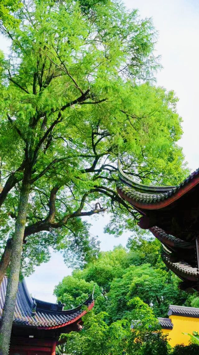 《永福禪寺嘅禪意生活體驗如何？》