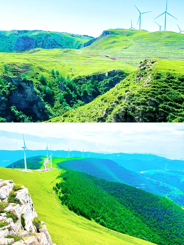 「飛狐峪草原掛雲端，牛羊比你早識輕功！」