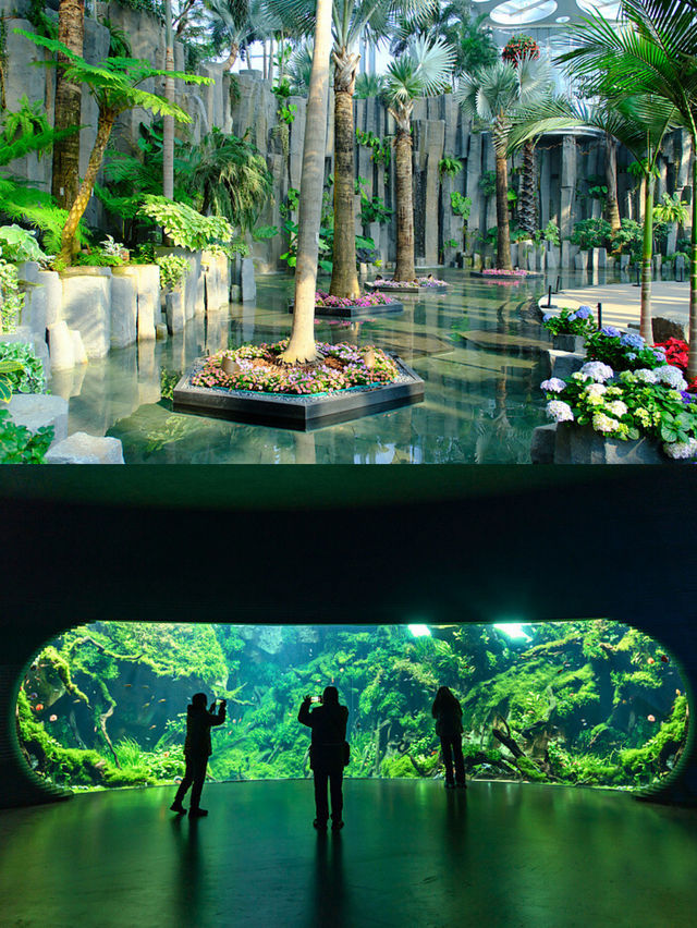 ที่เที่ยวสุดปังในเซี่ยงไฮ้ที่คนไทยไม่ค่อยรู้จัก