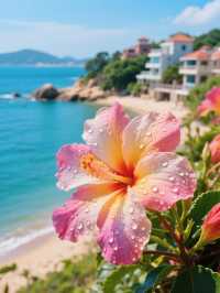 廈門海邊快樂圖鑑夏天超甜呀