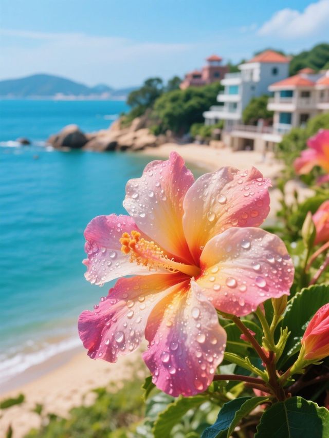 廈門海邊快樂圖鑑夏天超甜呀