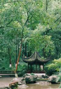 希貝至香樟公園：旅拍中的城市逸韻