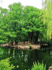 夏日漫遊計劃上海奉賢區8大原創景點攻略