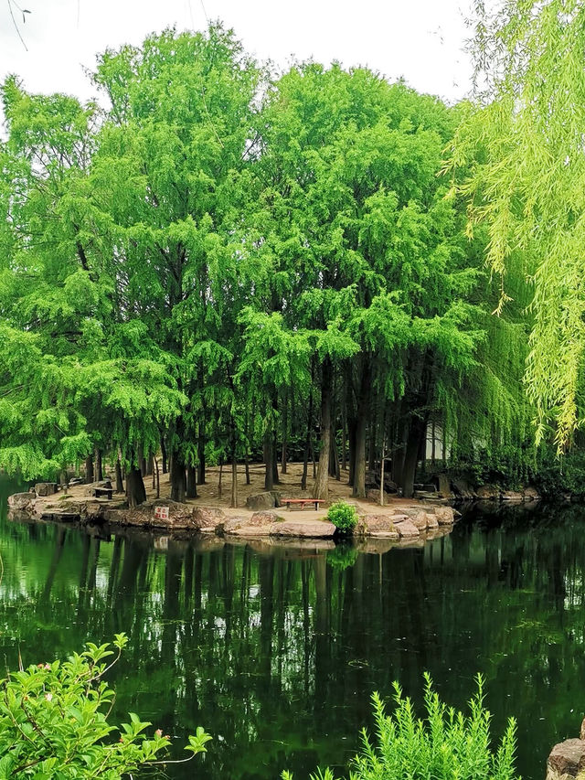 夏日漫遊計劃上海奉賢區8大原創景點攻略