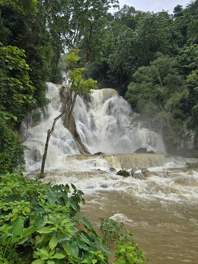 Kuang Si Waterfalls in the Rainy Season: Wild, Wet, Worth It
