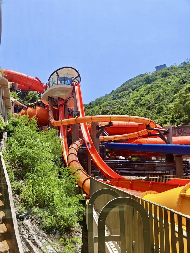 玩水與海洋奇觀的雙重體驗|香港海洋公園 玩水與海洋奇觀的雙重體驗|香港海洋公園