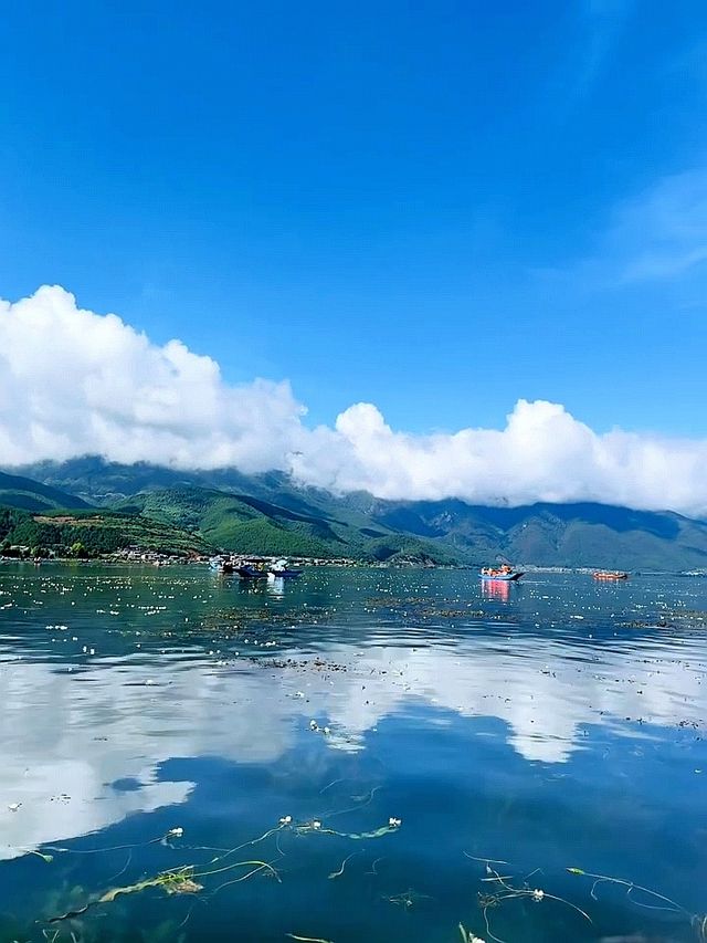 瀘沽湖已回，真心建議8月要來的姊妹…