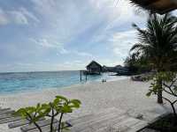 Wonderful Stay at Hilton Amingiri