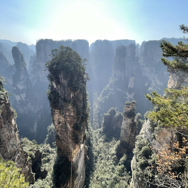 【中国 湖南省】世界遺産🌏 中国初の国家森林公園「張家界国家森林公園」✨🌲