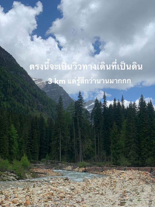 Siguniangshan - changpinggou In June