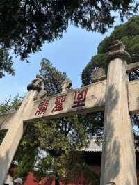 帶娃必去！曲阜3天2晚文化研學之旅