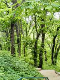 山海交錯的綠蔭時光——聯峰山公園