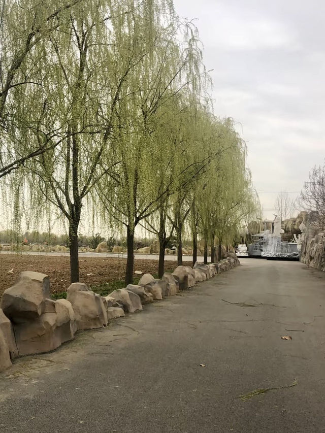 綠野仙蹤，田園詩意：西那母生態旅遊度假村