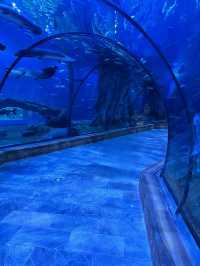 海底夢境+雨林奇遇!2025親子度假天花板全攻略