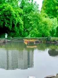 寧波月湖公園 | 千年古韻，一部寧波史，半部在月湖