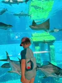 Sanya 19 Days Itinerary