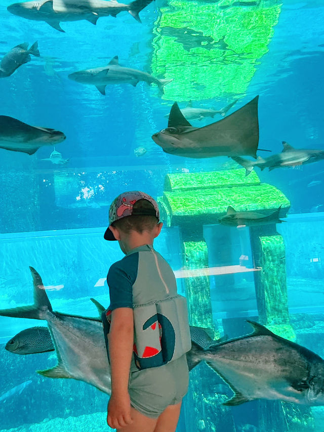 Sanya 19 Days Itinerary