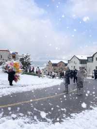 七日赴雪約：煙台與威海的冬日私語
