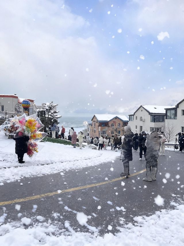 七日赴雪約：煙台與威海的冬日私語