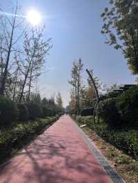 西安東郊免費遛娃寶藏地，幸福林帶兒童樂園太香啦！