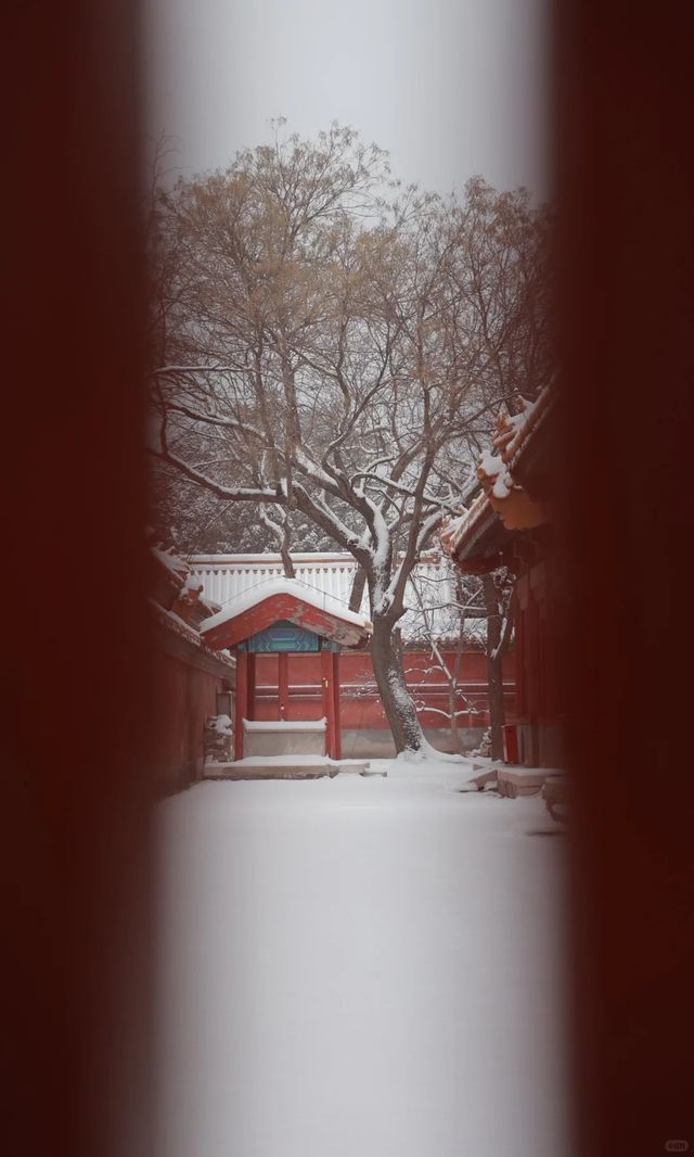 這個冬天總要去一趟北京吧