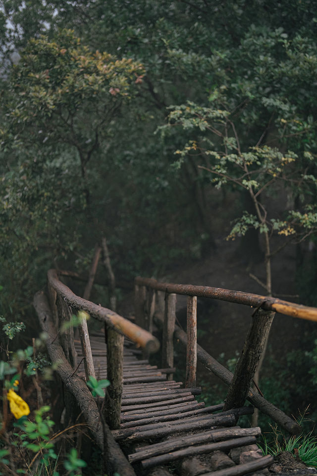雨中闖走馬崗，在諸暨的迷霧森林裡找野趣！