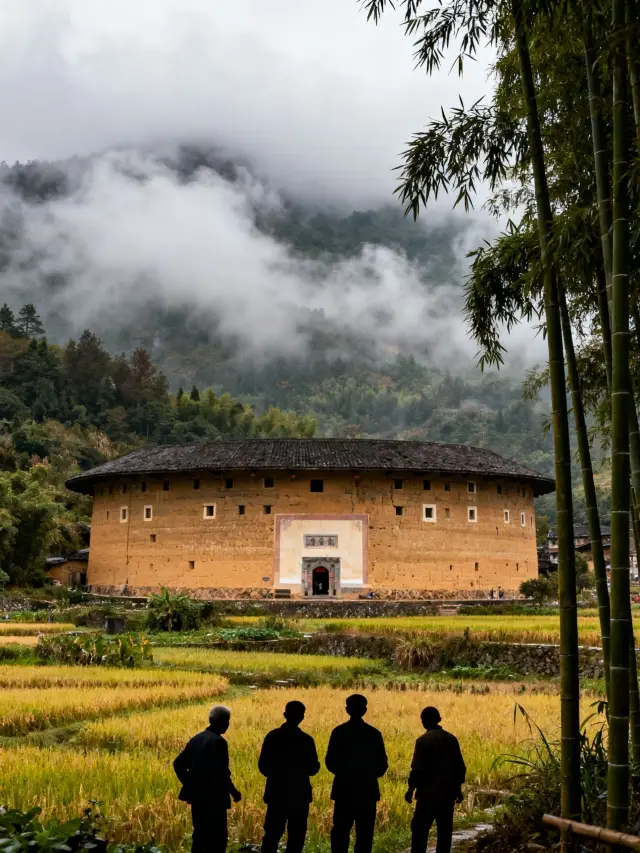 เกาะเซียะเหมินสนุกสนาน｜ซ่อนความสนุกและความหวาน
