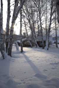 雪域哲旅·心靈回歸之旅