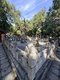 千年皇家廟宇美哭你岱廟