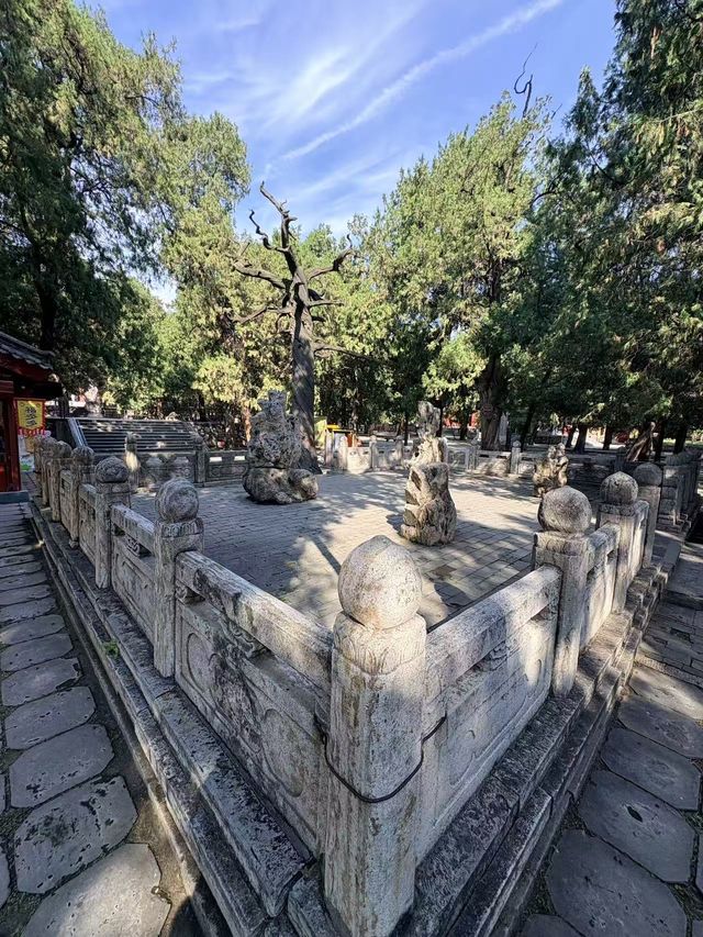 千年皇家廟宇美哭你岱廟