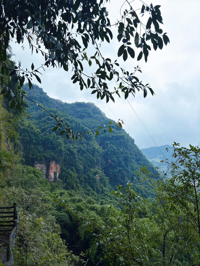四川樂山沐川竹海被嚴重低估的小眾竹海 四川樂山沐川竹海被嚴重低估的小眾竹海