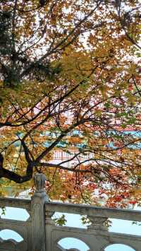 週末打卡臨夏絕美公園