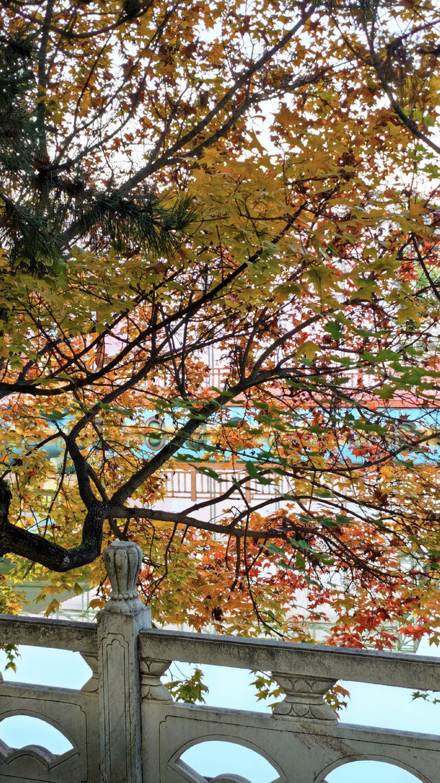 週末打卡臨夏絕美公園 週末打卡臨夏絕美公園