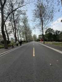 鄭州 / 嵩陽書院