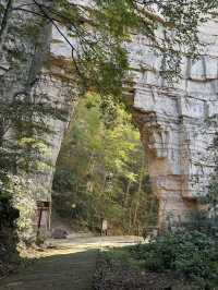 Stone Pillar Magic🌲