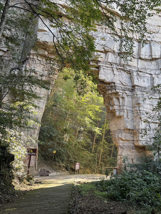 Stone Pillar Magic🌲 Stone Pillar Magic🌲