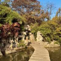  청도의 가을, 이 공원에서 모든 걱정이 사라졌어요 🍂