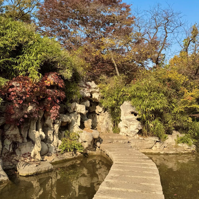  청도의 가을, 이 공원에서 모든 걱정이 사라졌어요 🍂