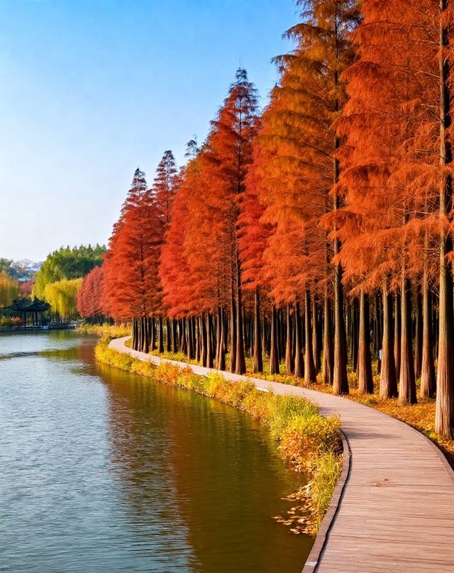 打卡唐風秋韻|邂逅城市邊的詩意與溫柔|收穫滿滿的治癒與快樂