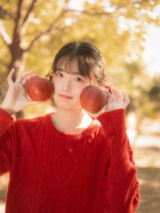 한국 사과 농원 여행 사진 | 가을이 사과 소녀를 만났을 때