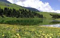 簡直震驚了 新疆這個小眾景點被我找到啦!唐布拉百里畫廊太美啦