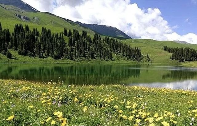 簡直震驚了 新疆這個小眾景點被我找到啦!唐布拉百里畫廊太美啦 簡直震驚了 新疆這個小眾景點被我找到啦!唐布拉百里畫廊太美啦