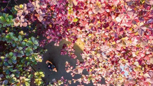 湛江這家酒店太溫馨了 湛江這家酒店太溫馨了