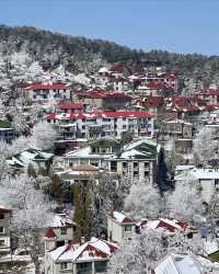 廬山冬日情書：牯嶺街的雪是童話濾鏡吧！