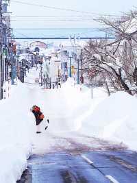 北海道冬季自由行｜中文包車太香了