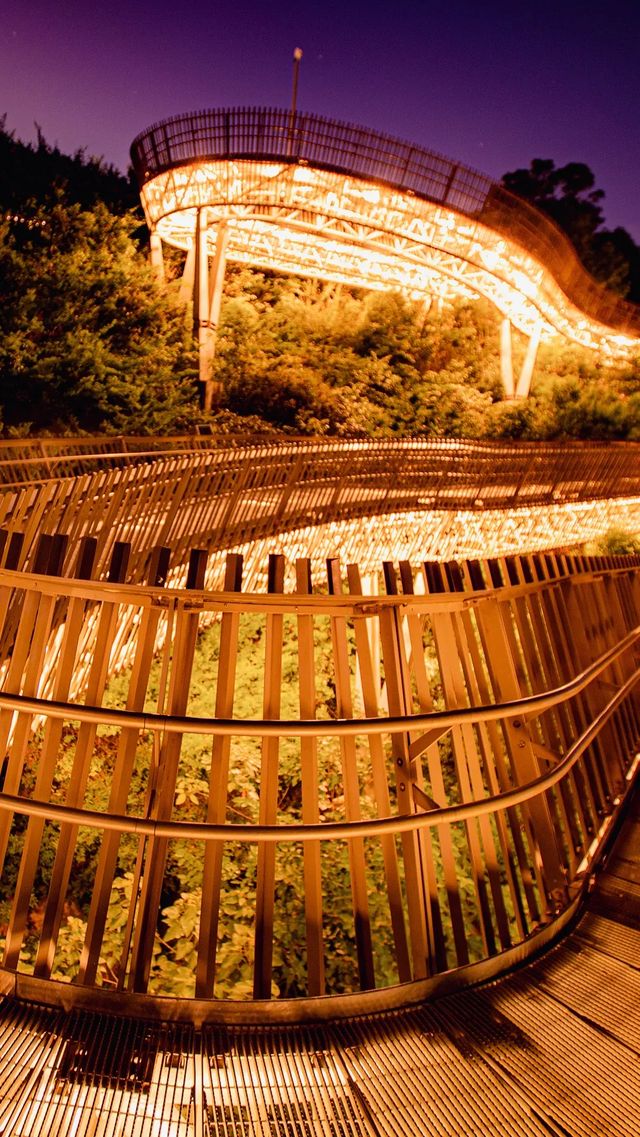 城市森林漫步天花板