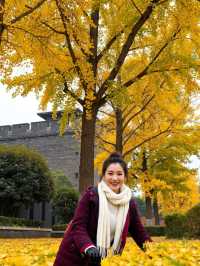 西安嘅秋天,明明係夢回「長安」|三日遊玩攻略