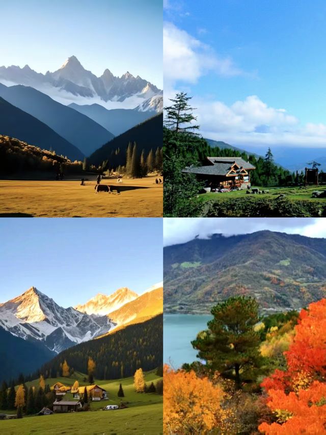 神木壘川西秘境中的森林、草甸與雪山盛宴